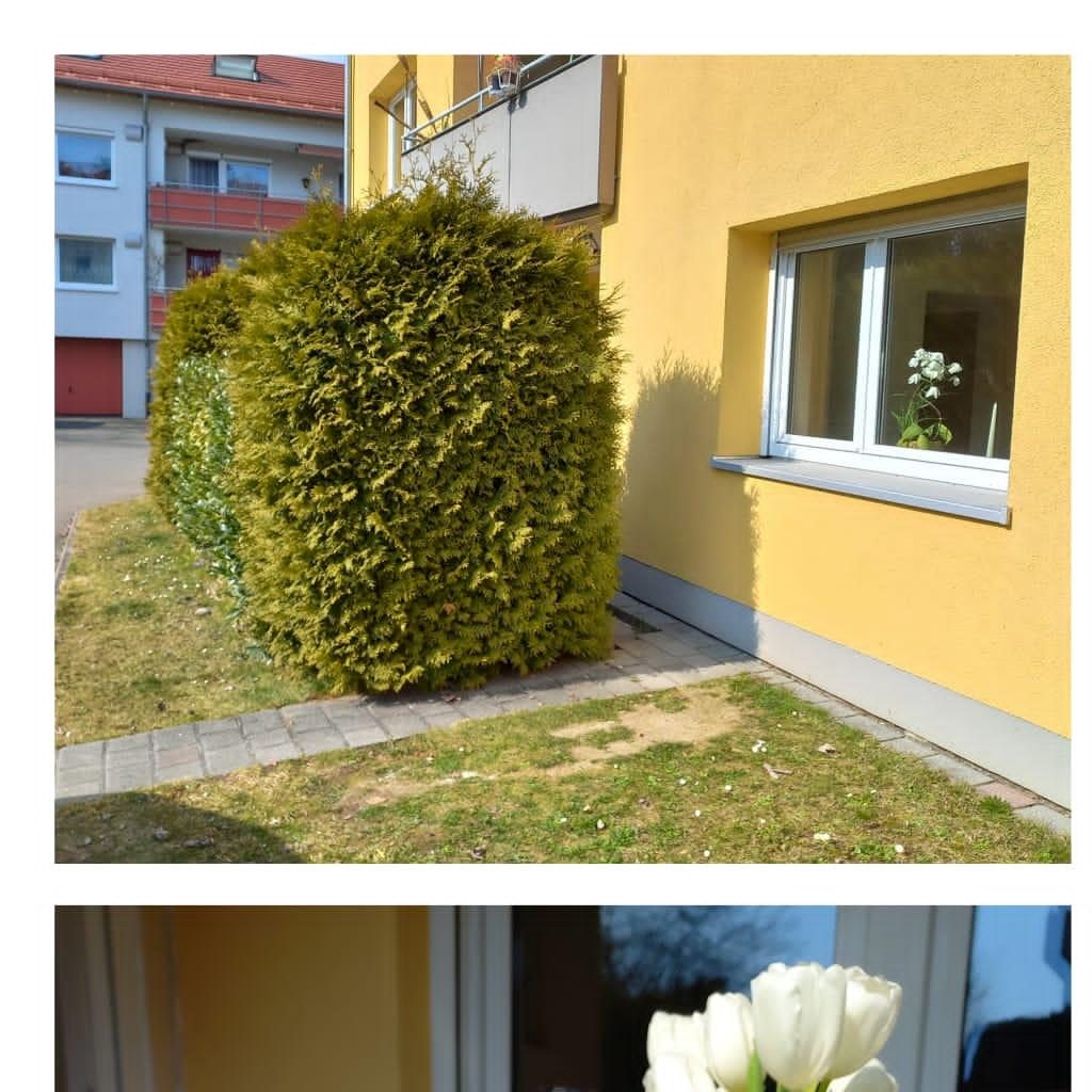Außenansicht des Hauses in Bodolz